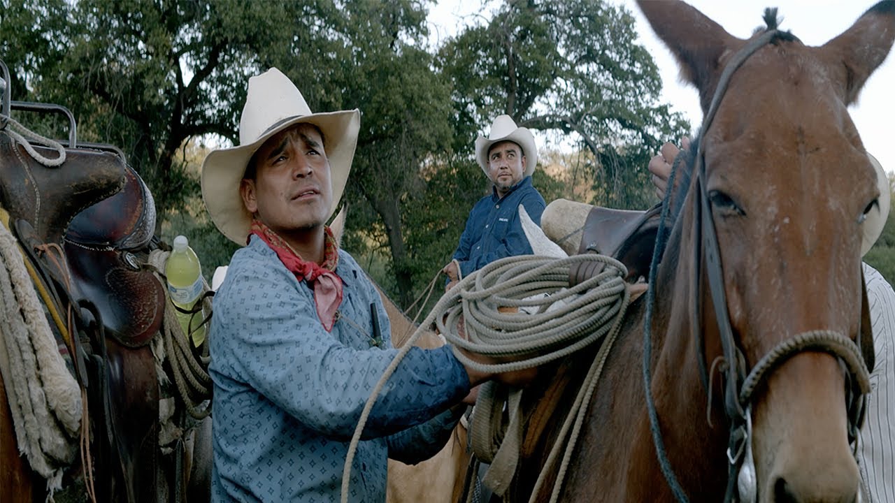 EL DÍA a DÍA en la VIDA de un VAQUERO en la SIERRA 🤠 | DOCUMENTAL ¿Cómo es SER realmente un VAQUERO?