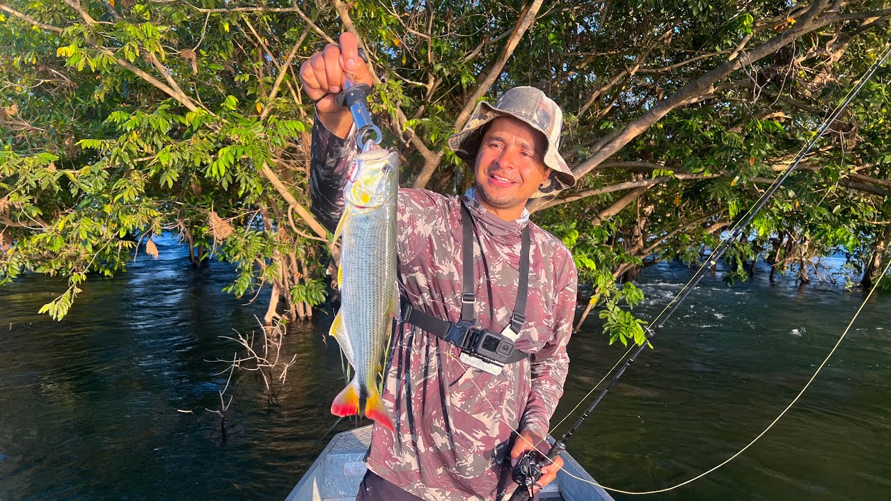 🟢PESCARIA DE DOURADO NO RIO SÃO FRANCISCO EM TRÊS MARIAS MG #1