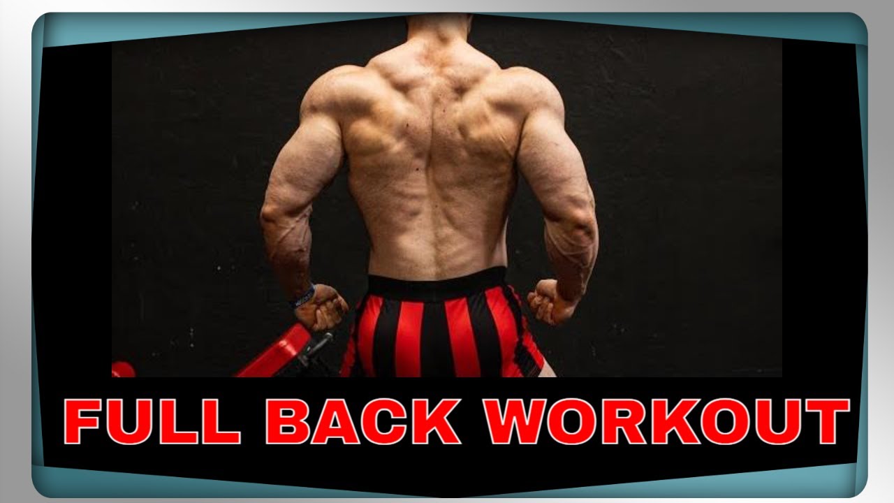 FULL RP BACK WORKOUT