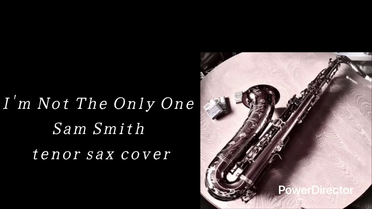I'm Not The Only One -Sam Smith- tenorsax