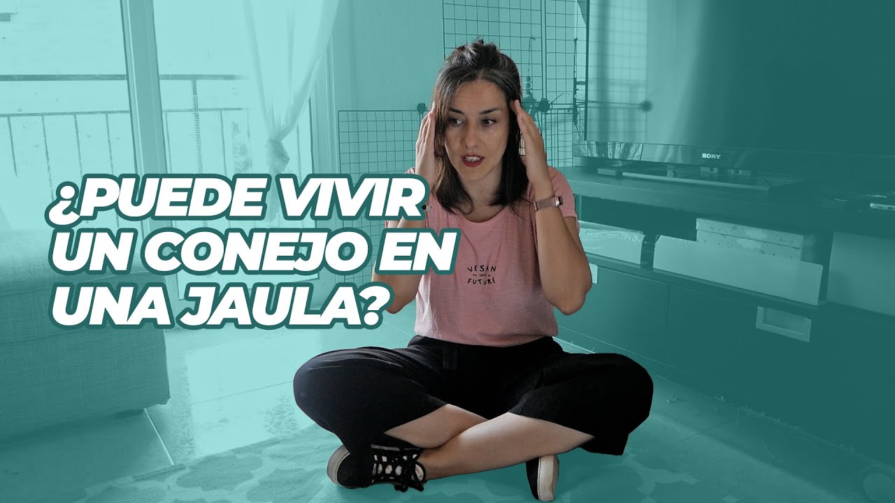 🐰 ¿Puede un conejo vivir en jaula? 🐰🏡