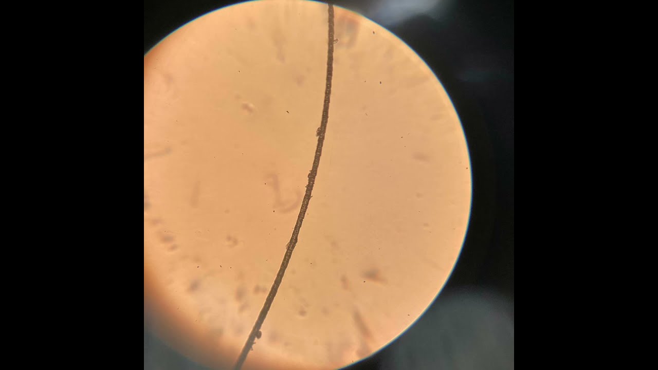 Ciclos Formativos Familia Textil, Confección y Piel