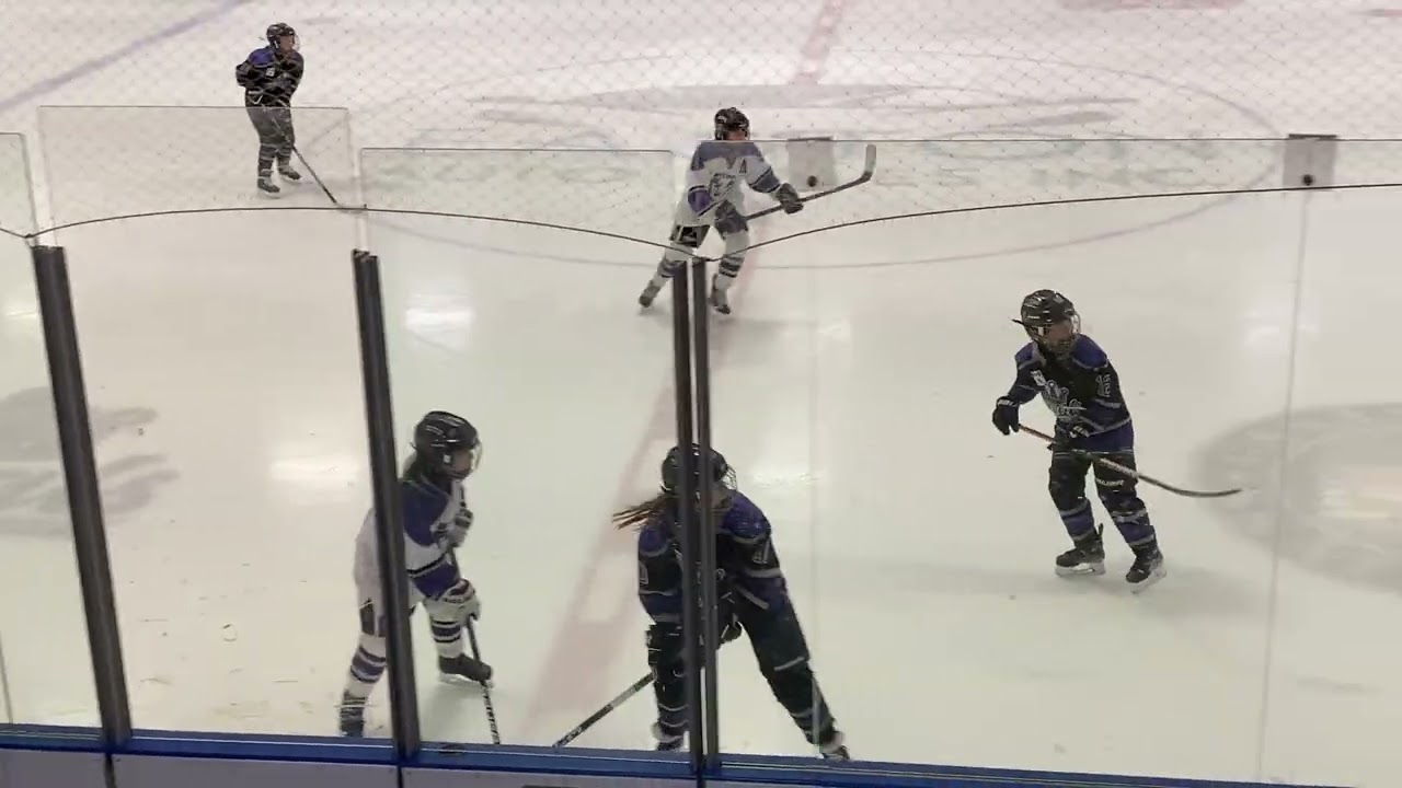 (2nd period PPD G1) Storm @ Gananoque February 22, 2026