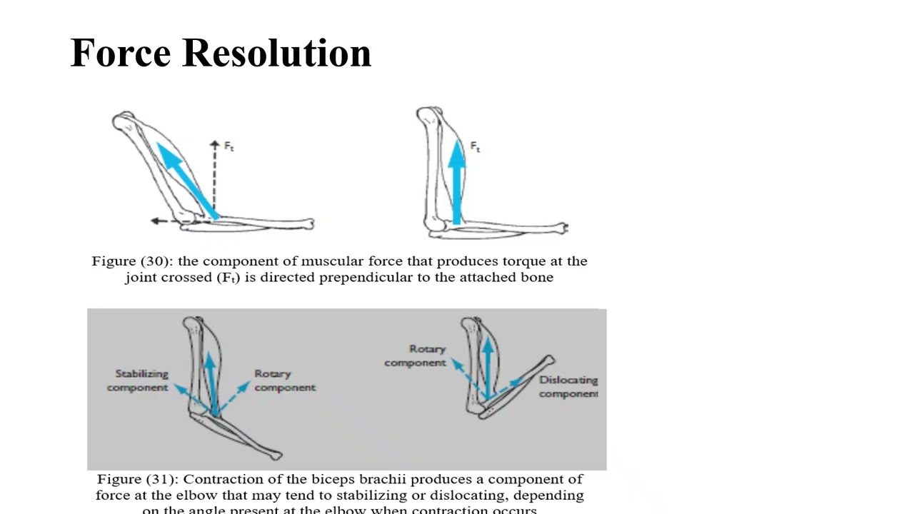 Classification of forces acting on body