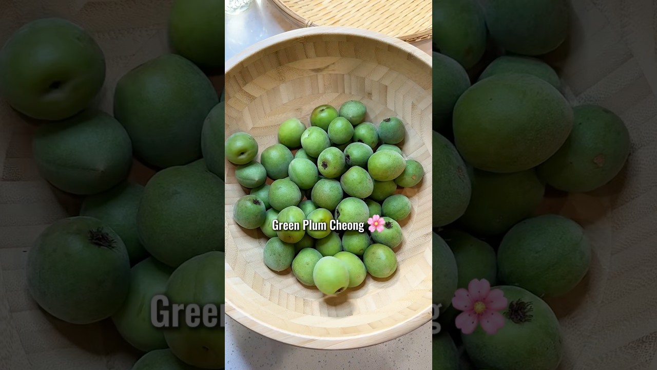 🌸Green Plum (Maesil) Cheong 