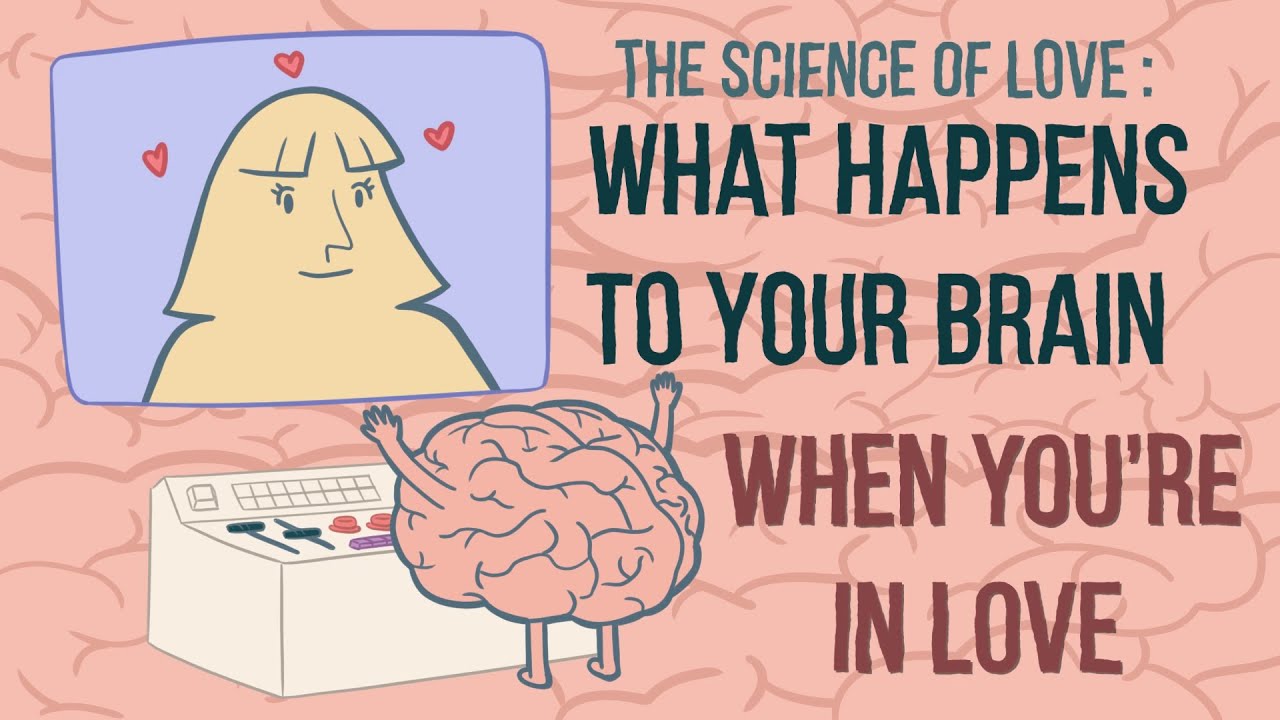 The Science of Love || What happens to your Brain When you&rsquo;re in Love?