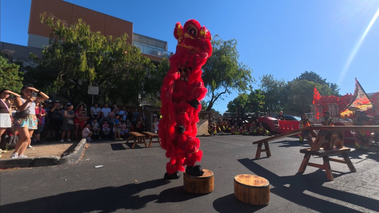 Kids Lion Dance | Hung Hing Lion Dance