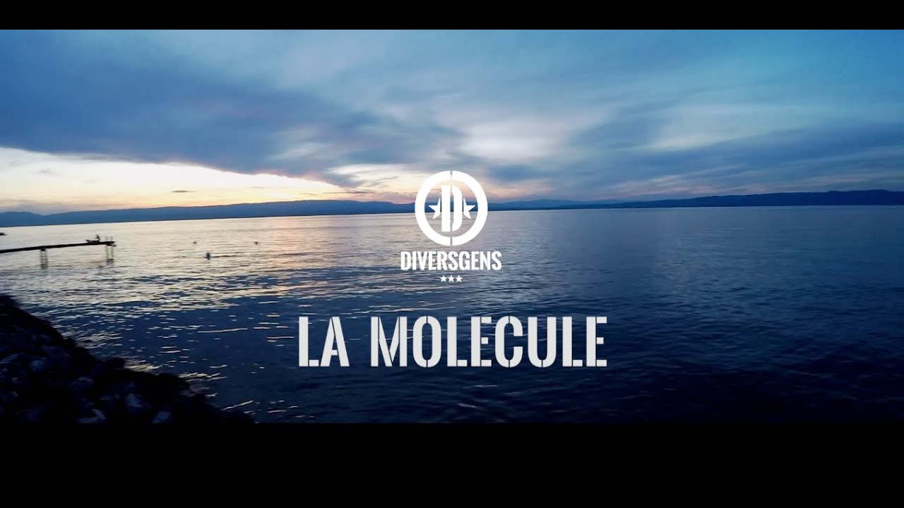 DIVERSGENS - La Mol&eacute;cule ( Official Video )
