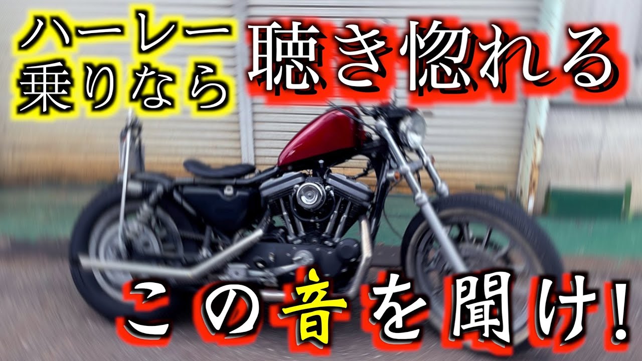 【ハーレーマフラー】マジで聴いて！このマフラー音！883キャブが最強説！