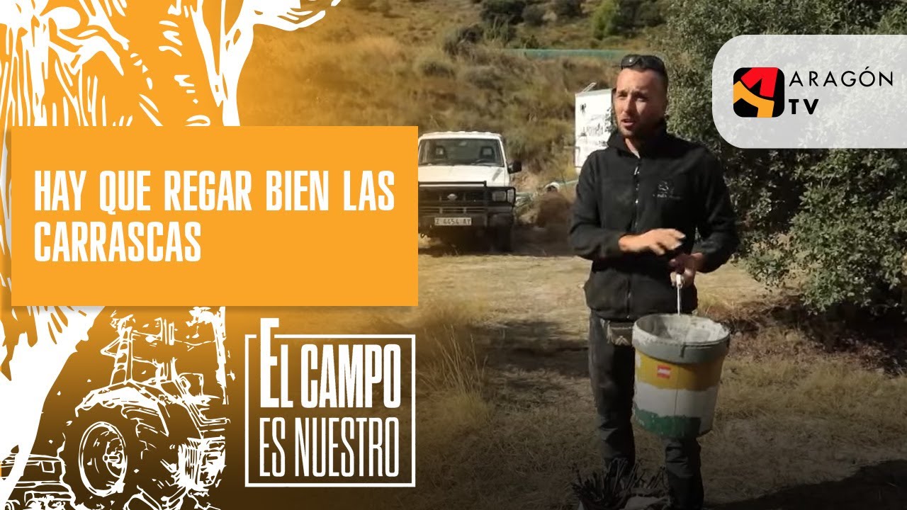 Para tener trufas, hay que regar bien las carrascas | Raúl Deoiz
