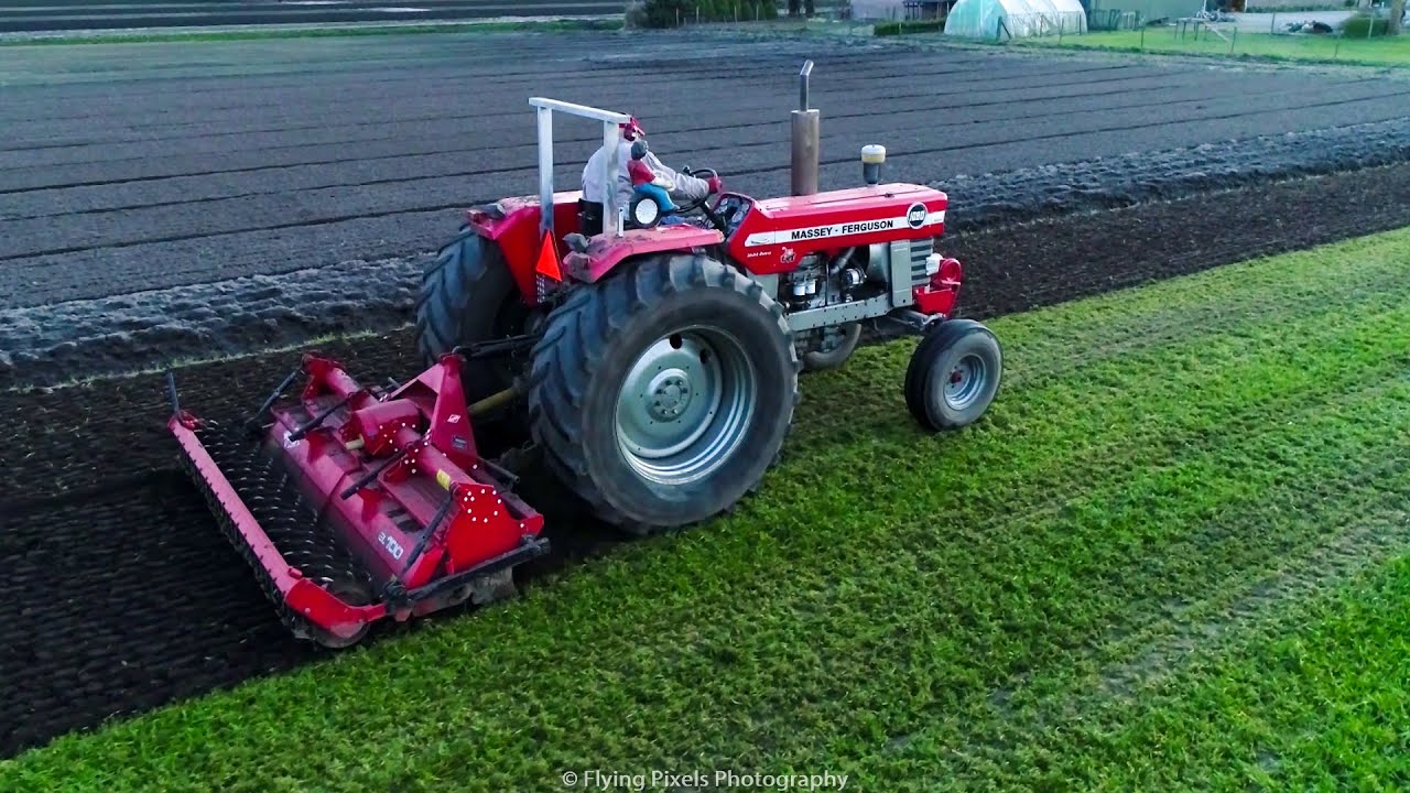 Massey Ferguson | MF 3690 | MF 1080 | MF 352 | MF 4355 | Spinazie zaaien | Sowing Spinach