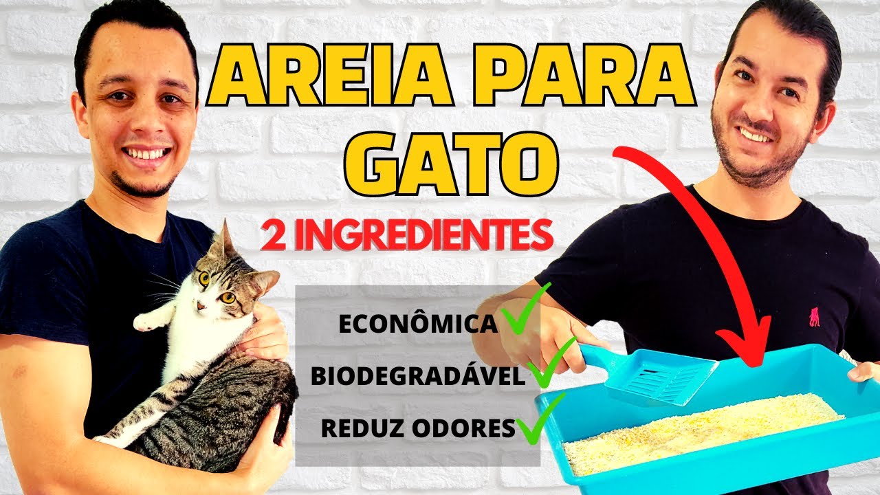 Areia para gato caseira, barata e biodegradável. RETIRA TODO O CHEIRO DE XIXI E COCÔ