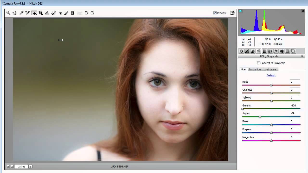 Portrait Retouch LIVE (froknowsphoto.com)