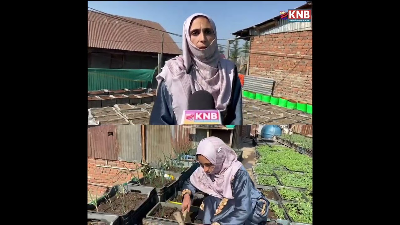 Bandipora Woman Turns Rooftop into Kitchen Garden, Earns ₹40,000 Monthly from Mushroom Cultivation