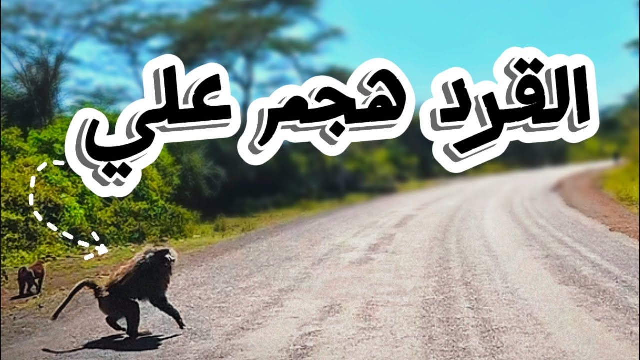 من قرية نيفاشا إلى سفاري كينيا 🇰🇪