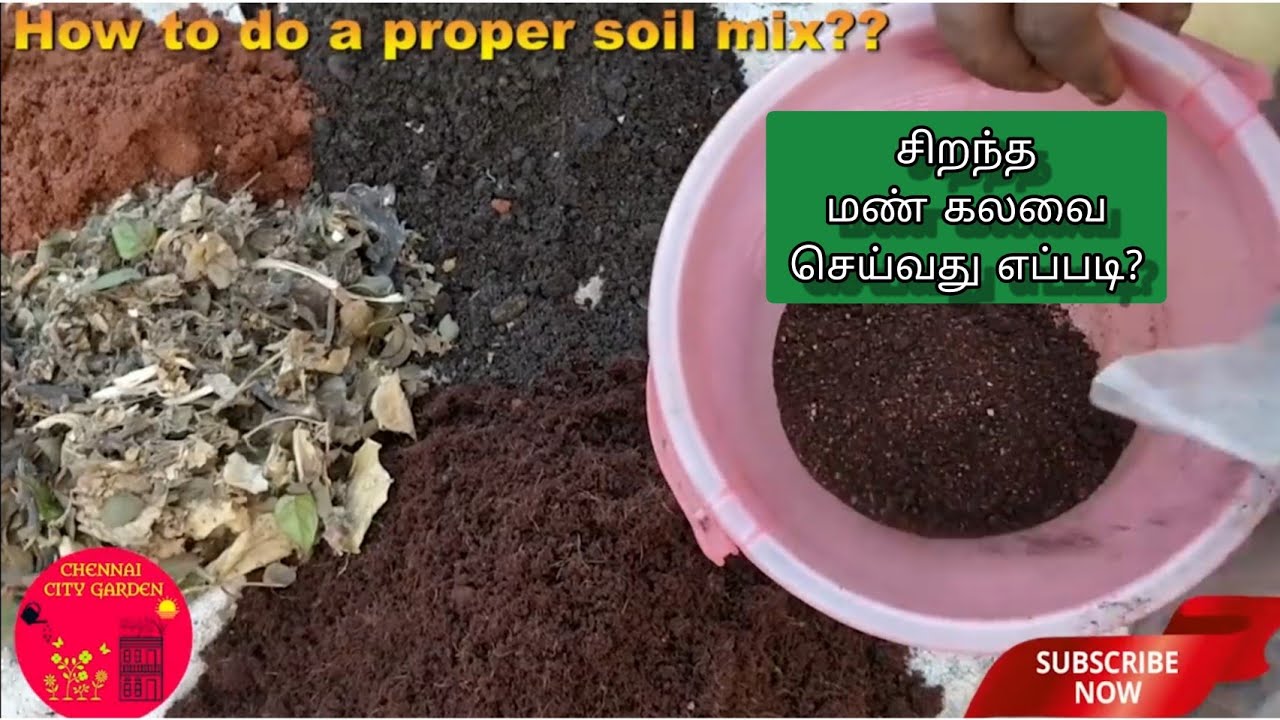புதுசா தோட்டம் ஆரம்பிக்க போறீங்களா | சிறந்த மண்கலவை தயாரிப்பது எப்படி? | மூன்று விதமான மண்கலவை