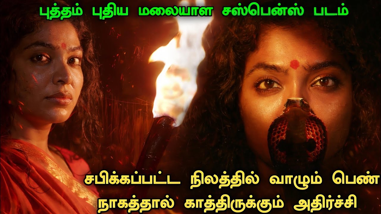 வித்தியாசமான மலையாள திரில்லர் கதை !! Crime Investigation Movie Explained | Malayalam Movie Explained