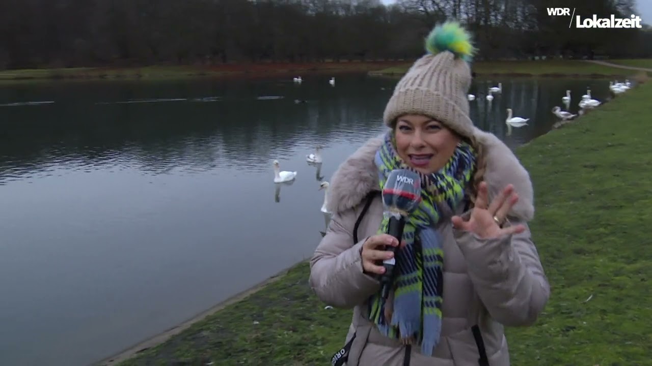 Schwanenflug am Decksteiner Weiher