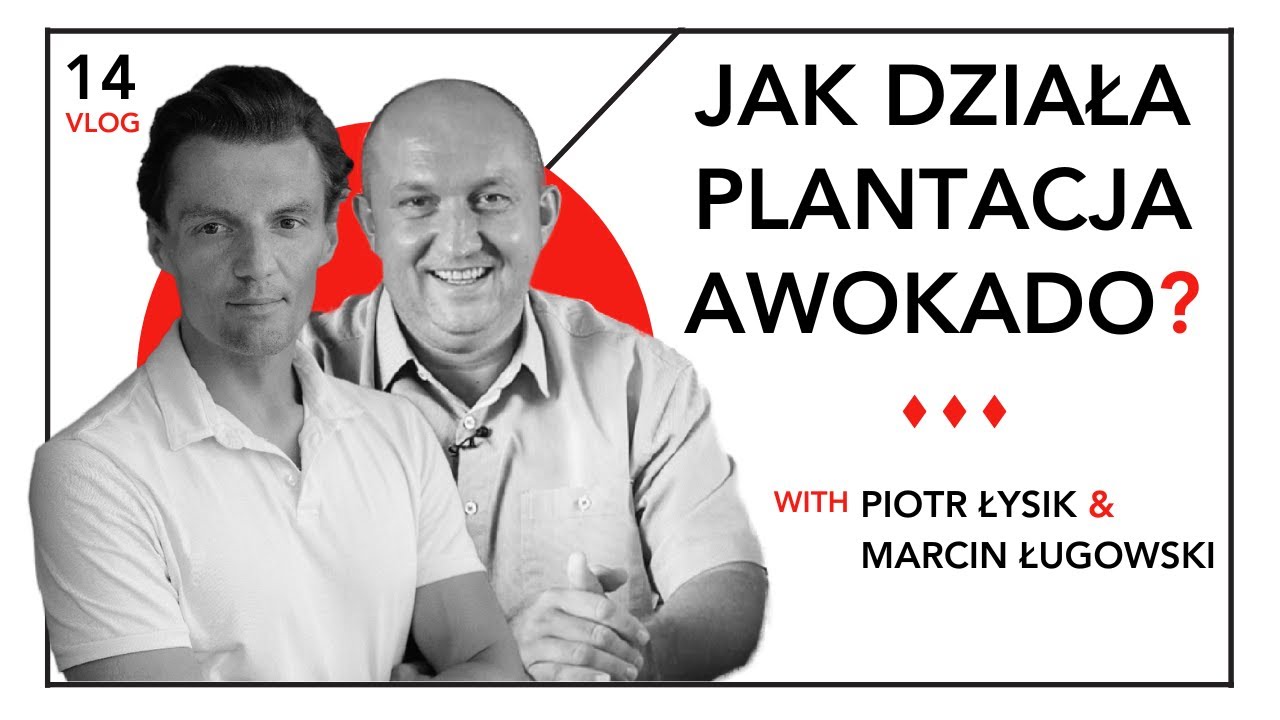 Zapraszamy na naszą plantację Awokado