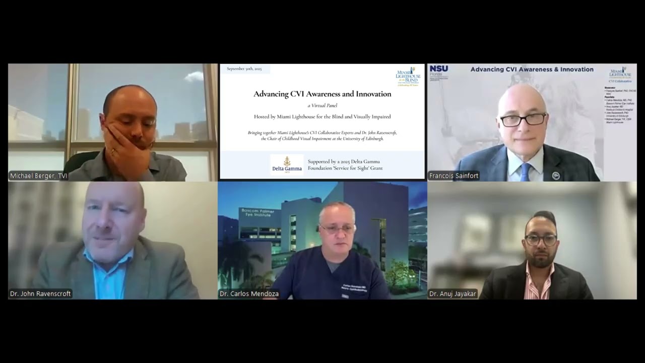 CVI Expert Panel 