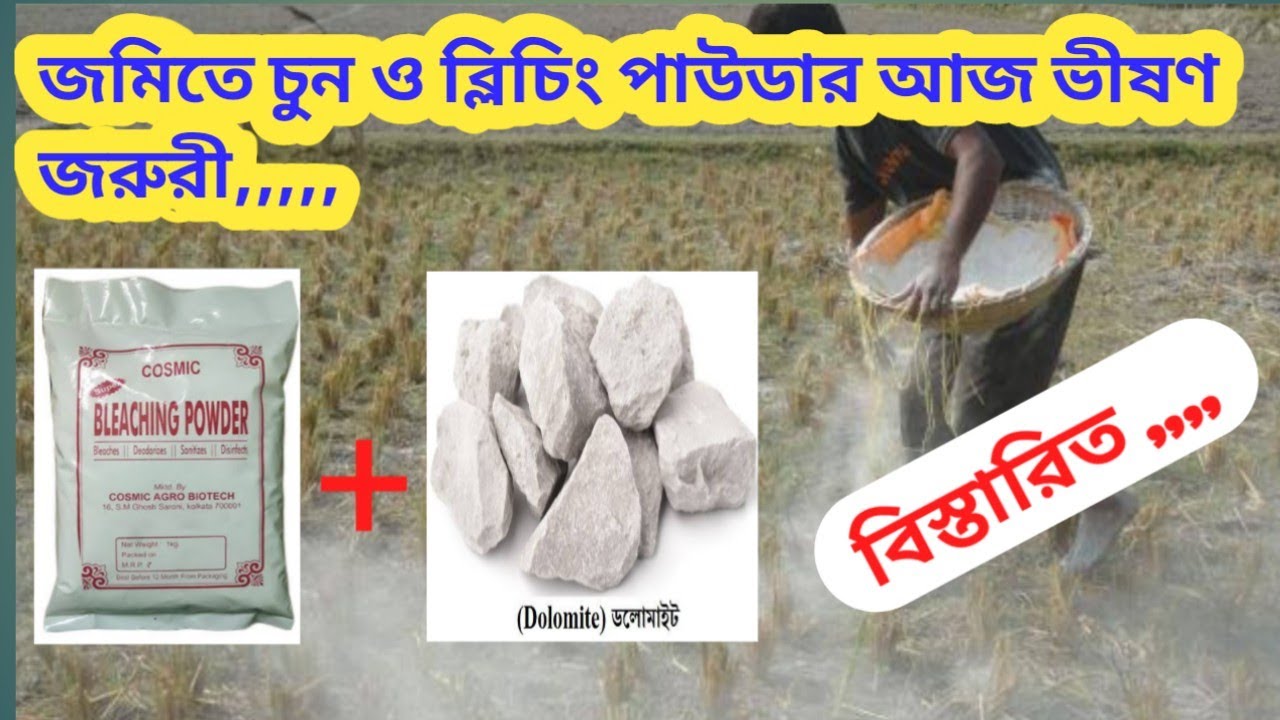 চাষের জমিতে চুন ও ব্লিচিং পাউডারের উপকারিতা || Dolochun + Bleaching Powder In Agriculture Use
