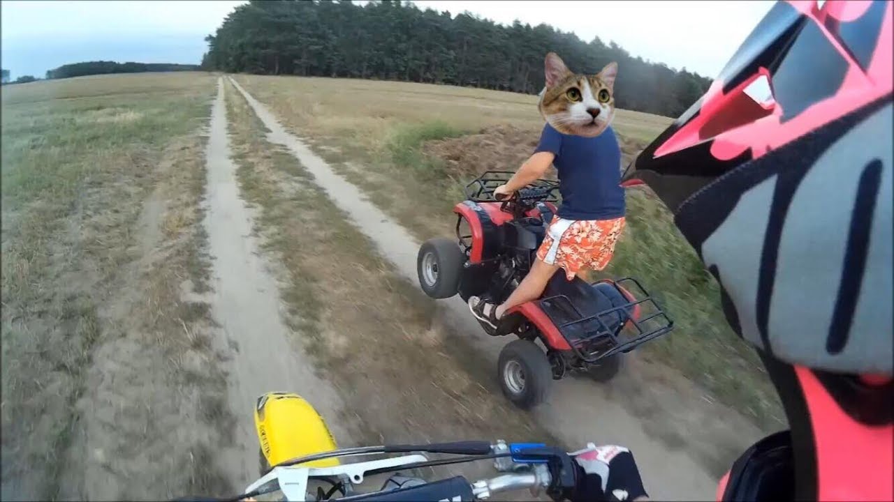 Chiński quad 110, ale daje radę ;D