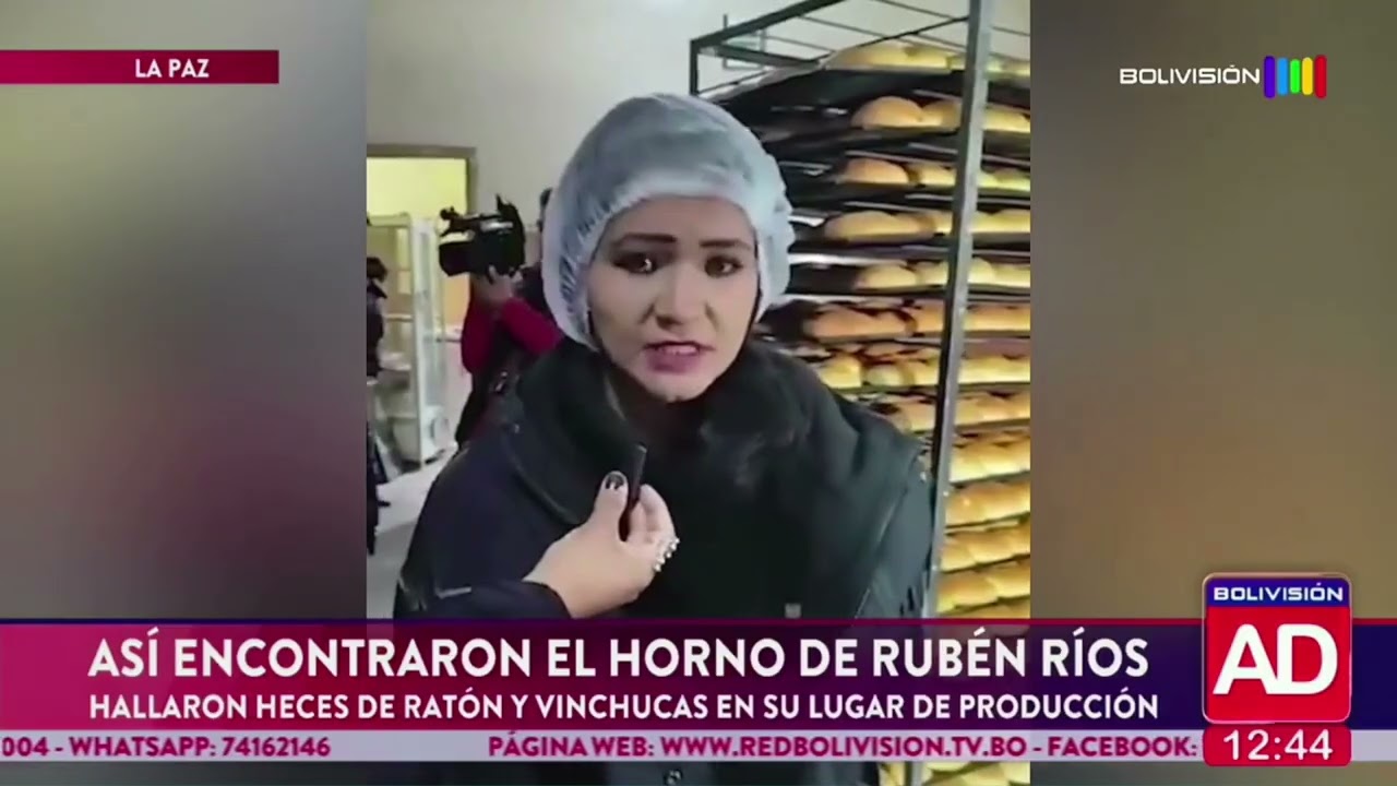 Heces de roedores y vinchucas fueron encontrados dentro de un horno.