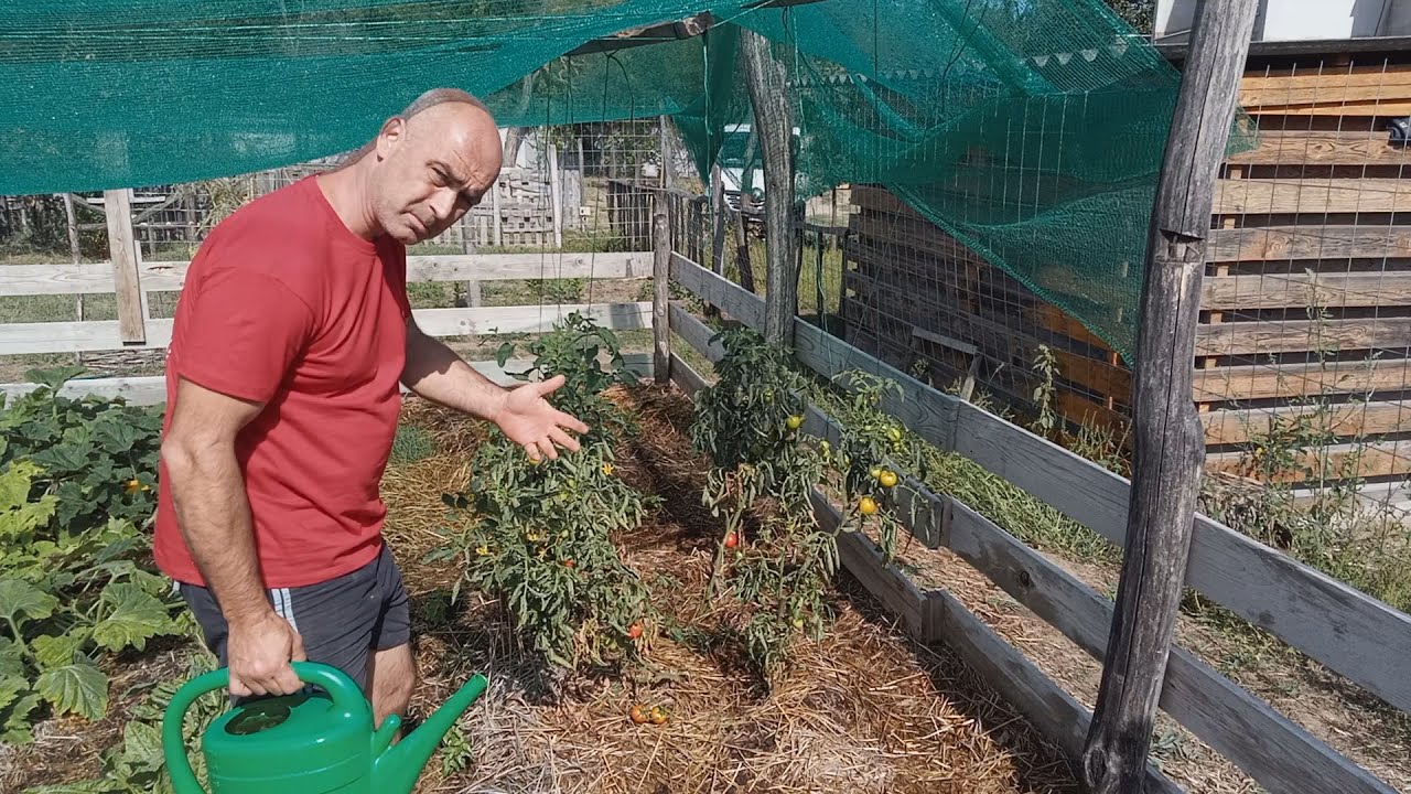M&eacute;lymulcs 22 - Talajelemz&eacute;s, K&ouml;vetkező mulcsr&eacute;teg elők&eacute;sz&iacute;t&eacute;se, Csal&aacute;ntr&aacute;gya, &eacute;s term&eacute;s mindenhol