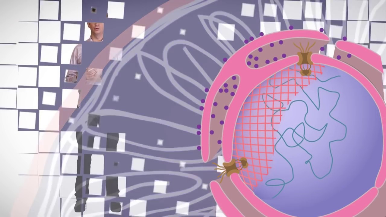 MOOC c&ocirc;t&eacute; cours : Le noyau