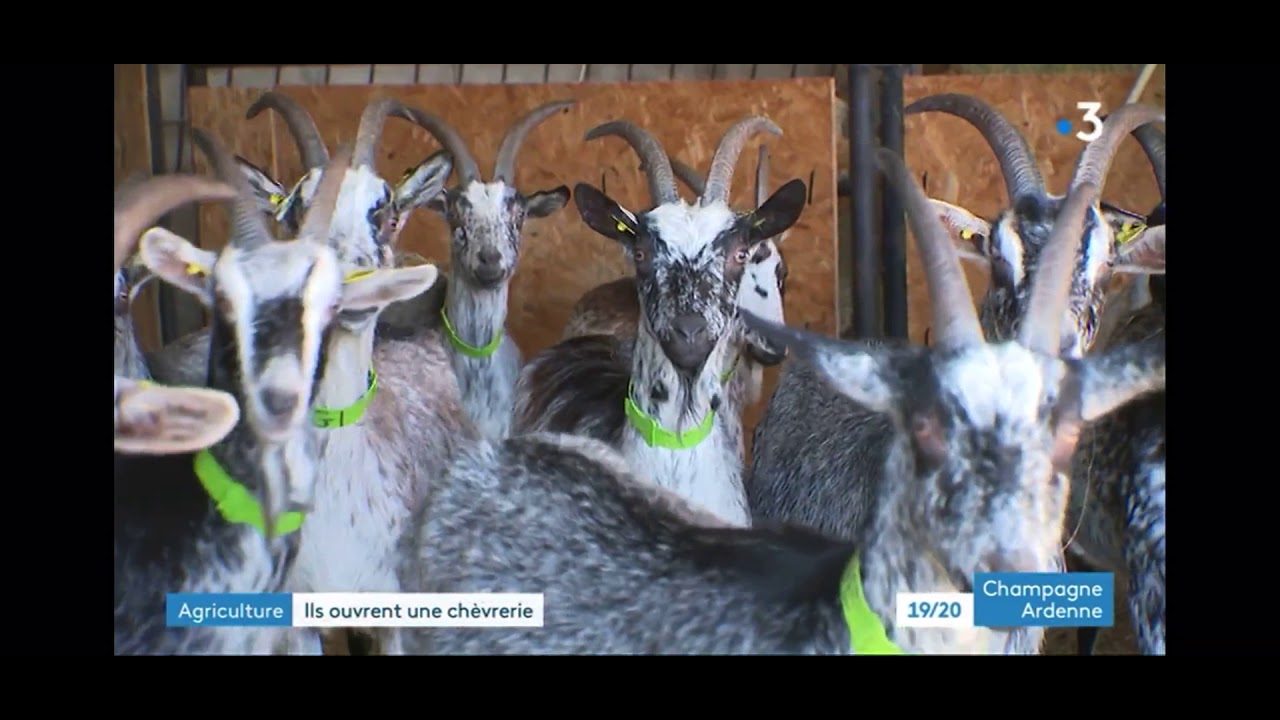 Reportage France 3 - La Ferme des Domoiselles