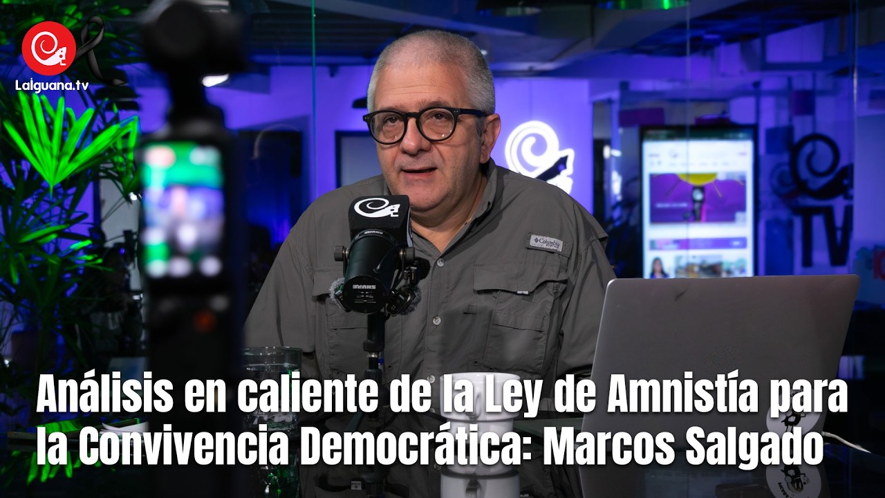 Análisis en caliente de la Ley de Amnistía para la Convivencia Democrática: Marcos Salgado