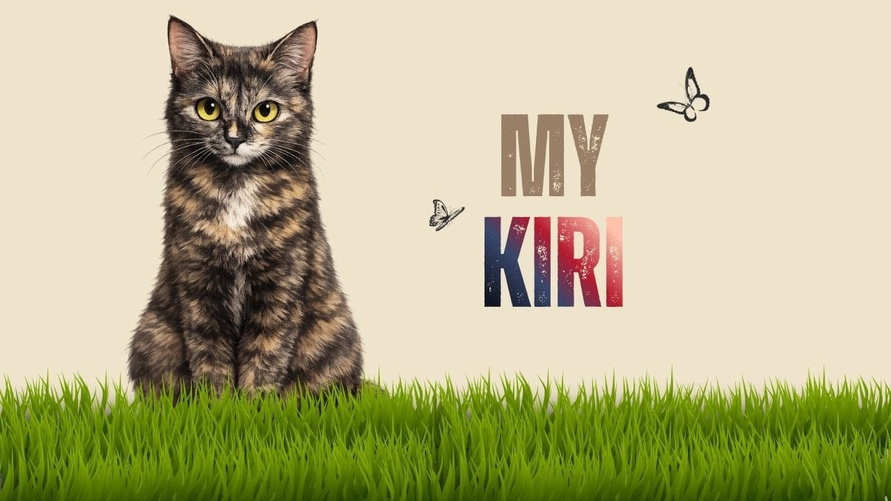 MY KIRI || to my purr baby kiri || by-HynessMusic