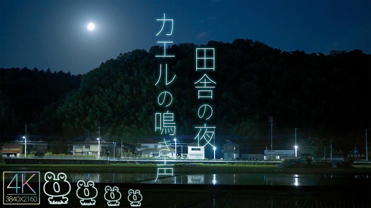 [環境音ASMR]カエルの声と田舎の月夜　4K(睡眠・勉強・作業)用環境映像　Nature sound 1Hour /4K Japan Nature Video
