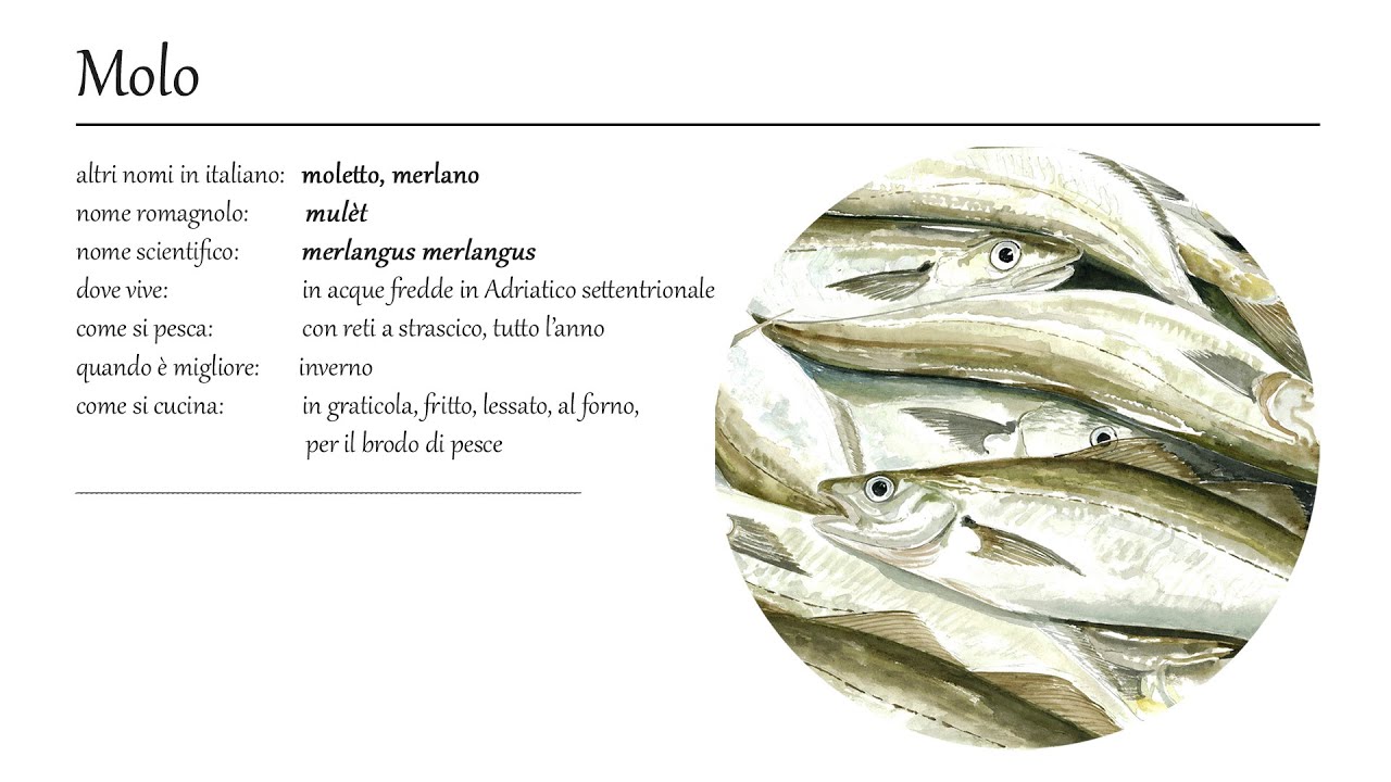 6. Il molo (moletto)
