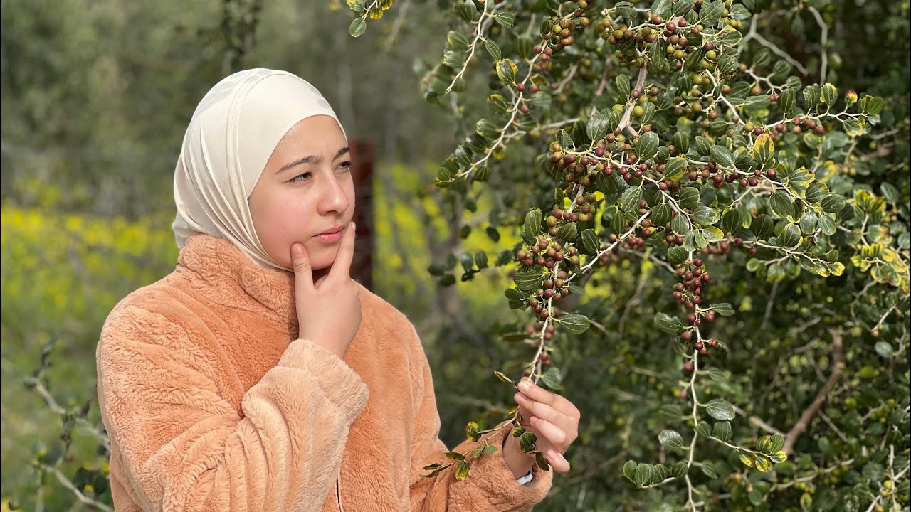 اول مرة اشوف هاي الشجرة@يوميات نور وثابت
