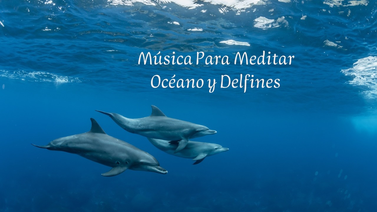 🌺Música para Meditar 3 - Océano y Delfines