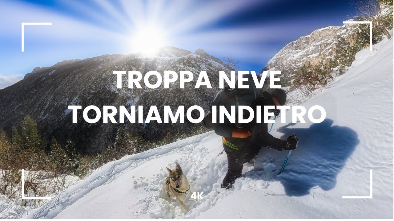 BISOGNA SAPER RINUNCIARE E PORTARE A CASA LA PELLE INTATTA.