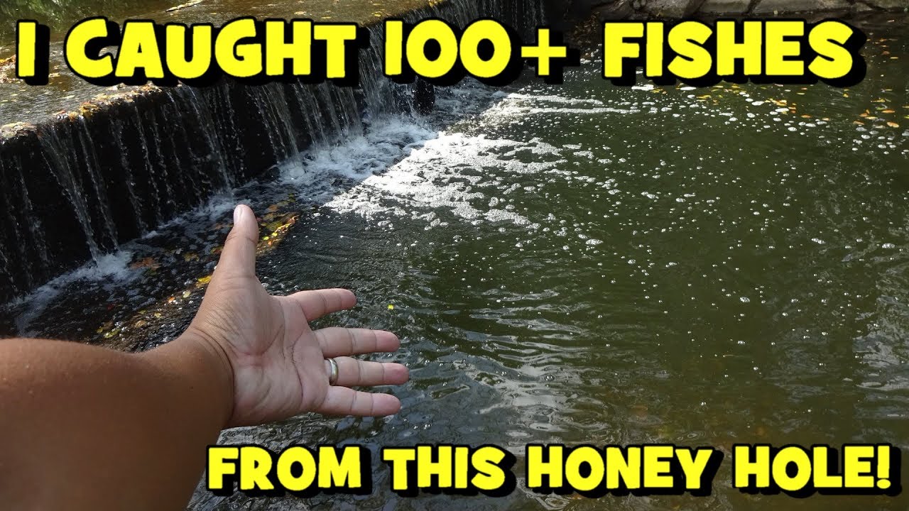 I Found ANOTHER HONEY HOLE!!! (100+ FISHES LANDED)