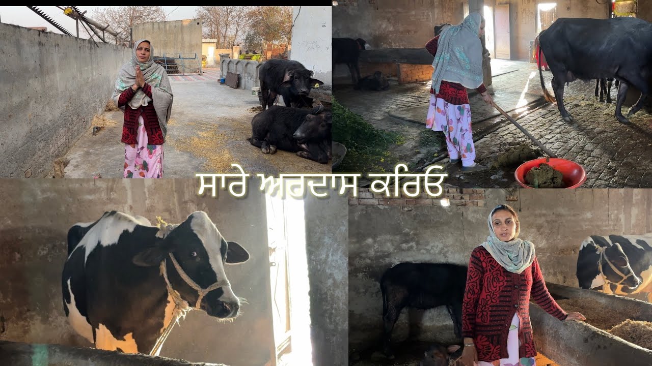 ਅੱਜ ਮਨ ਬਹੁਤ ਉਦਾਸ ਹੈ 😒