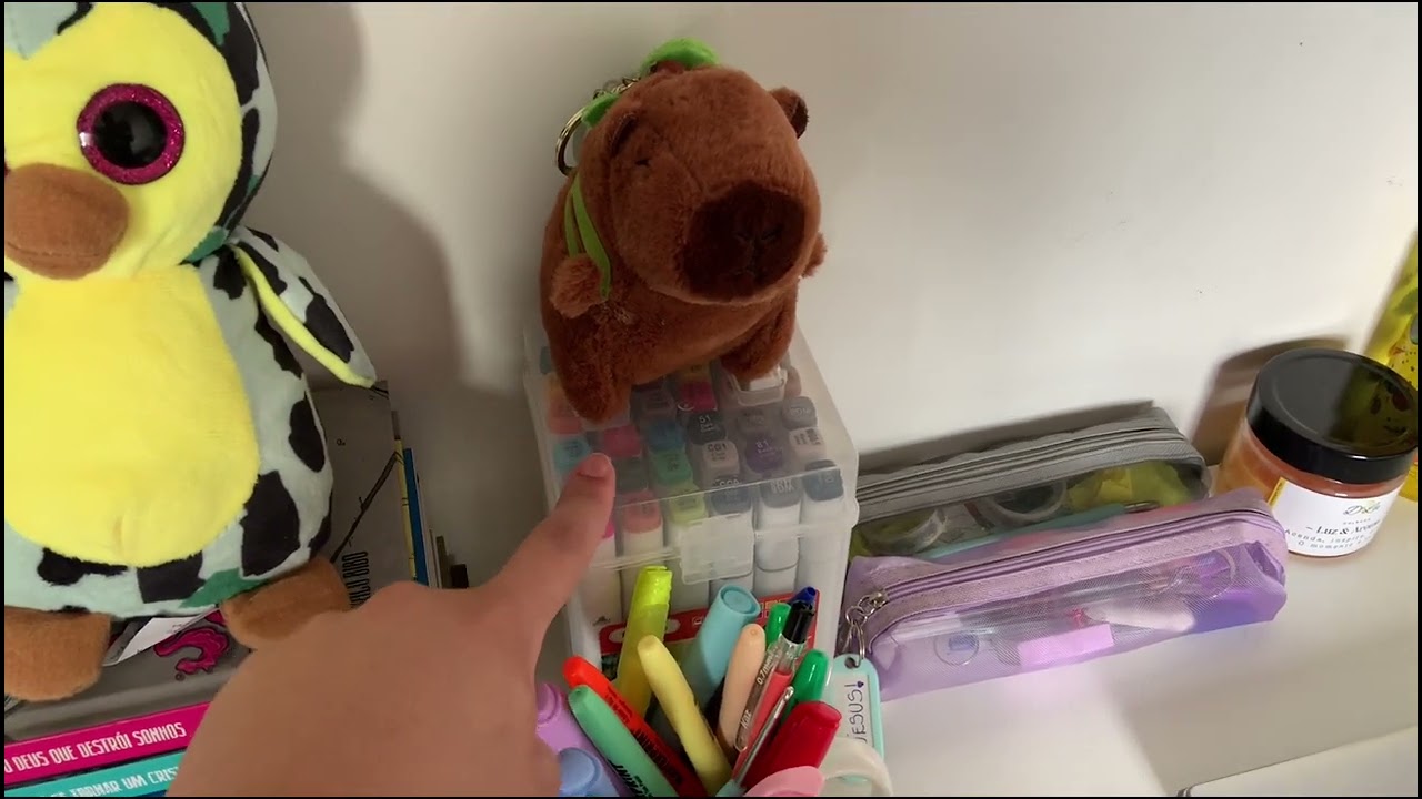 Um dia comigo, com organização e tour atualizado🏠❤️