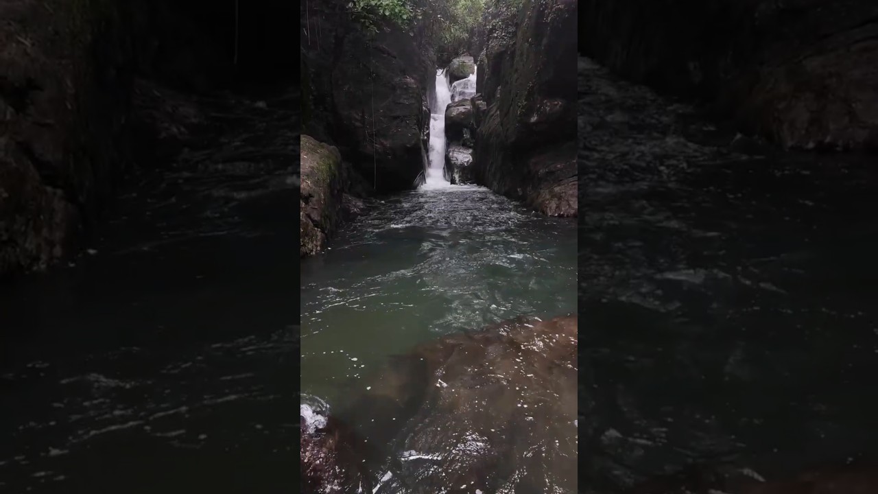 Kadavupuzha Aruvi 🌊 Hidden Waterfall | Safe Swimming & Nature Vibes 🦀