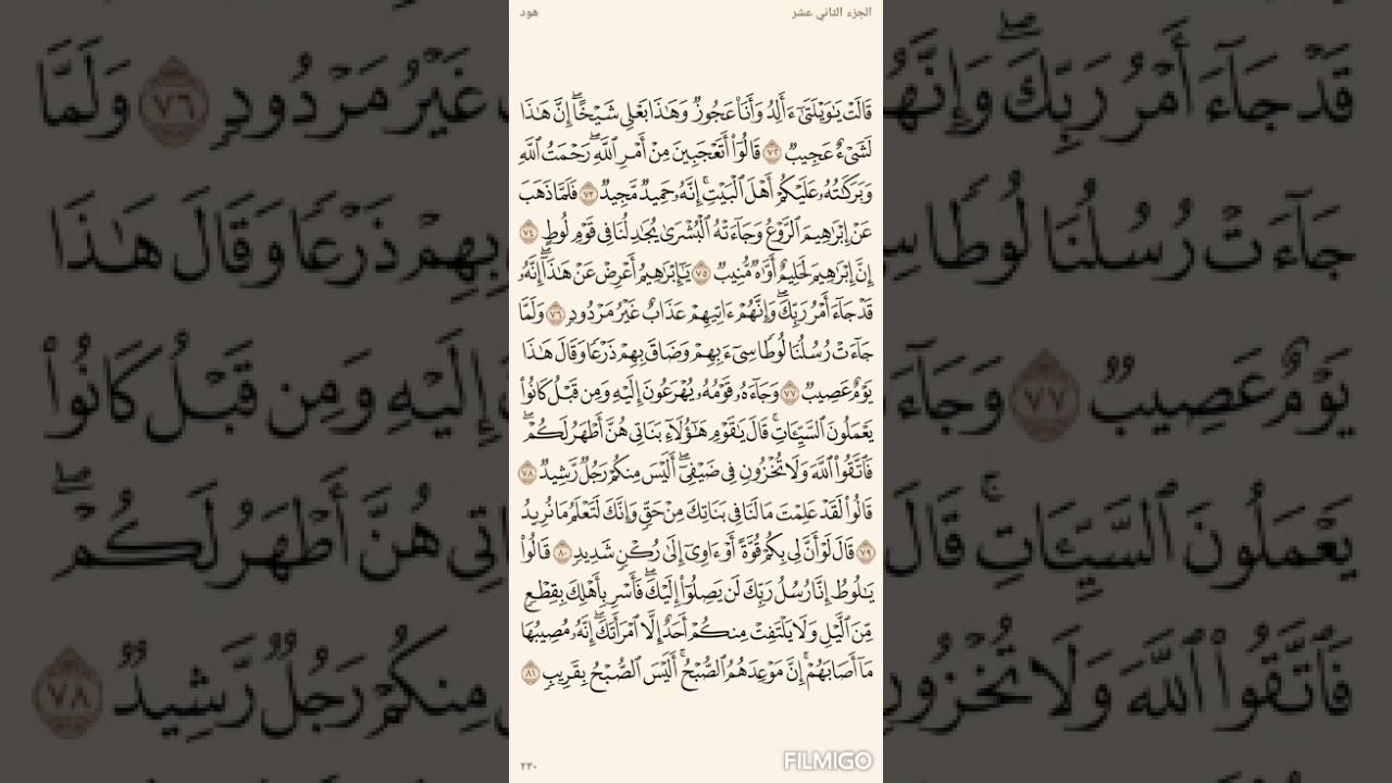 تفسير السعدي صفحة 230 سورة هود من الاية (72) الى الاية (81)