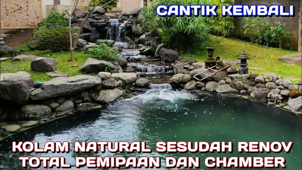RENOV TOTAL PEMIPAAN DAN CHAMBER SAMA JUGA BUAT BARU | KOLAM IKAN NATURAL | KEC BATU MALANG JATIM