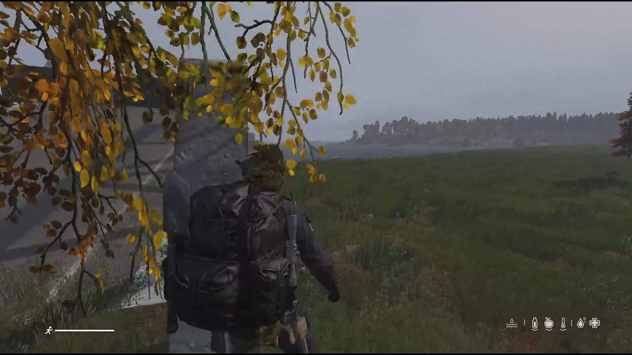DayZ_20260205215637