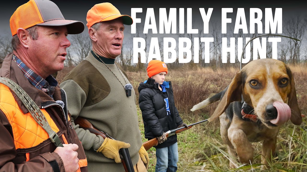Rabbit Hunting with Beagles on the Family Farm
