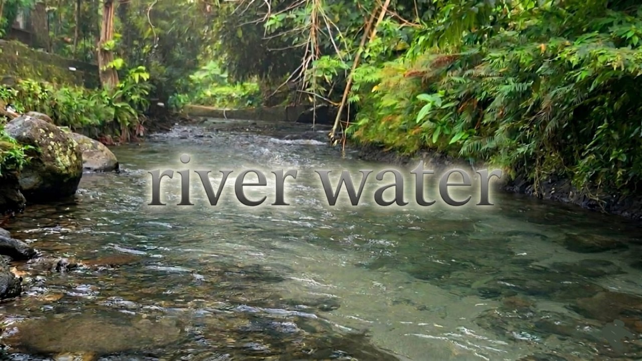 Gentle River Streams for Instant Relaxation