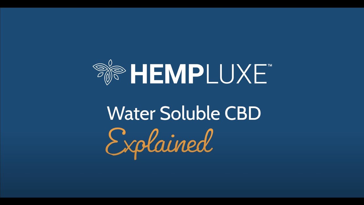 Water Soluble CBD Explained | Water Soluble CBD vs. Oil Tinctures