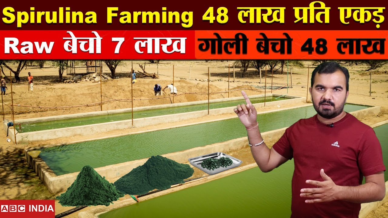 48 lakh per Acre | Spirulina Farming | Medicine Farming | Protein Farming | Seaweed farming | #earn