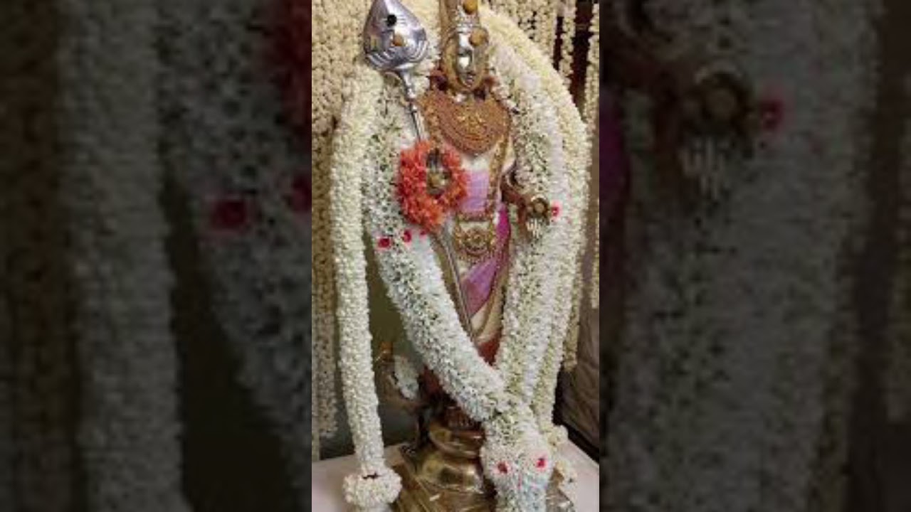 murugan songs #devotionalsong #godmurugansongs #lordmurugansongs