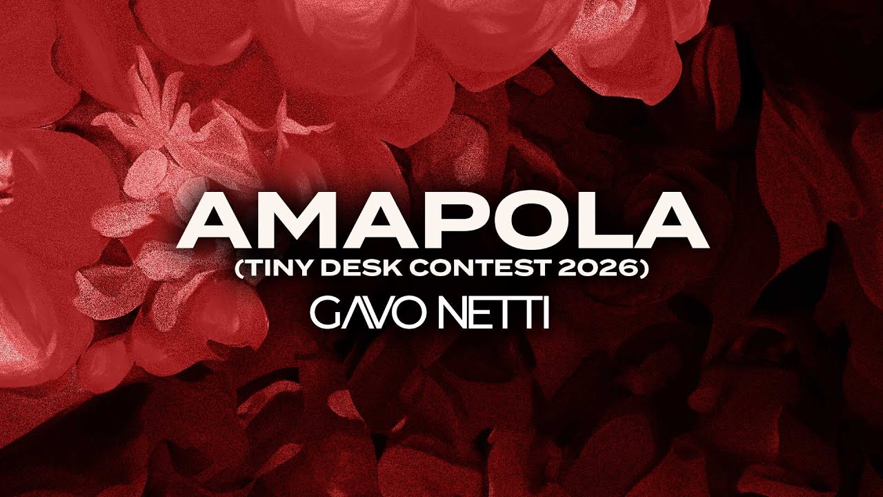 GAVO NETTI - Amapola - Tiny Desk Contest 2026
